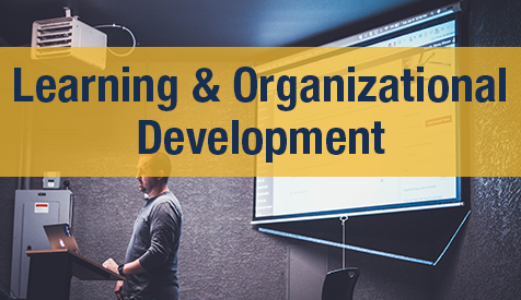 Learning and Organizational Development